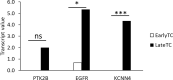 Figure 11