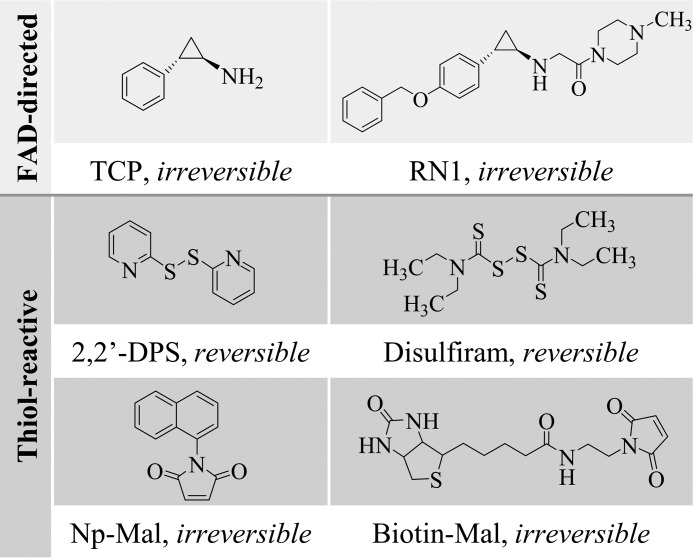 FIGURE 2.