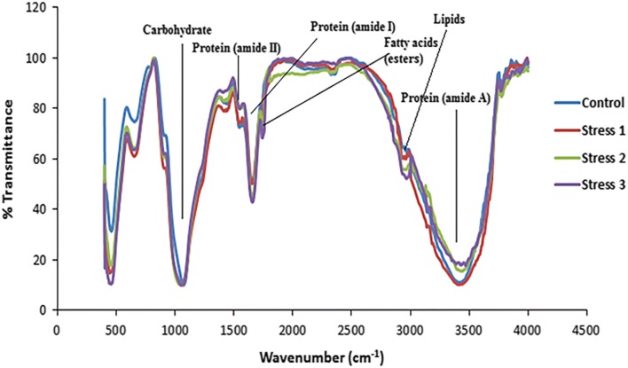 Fig. 6