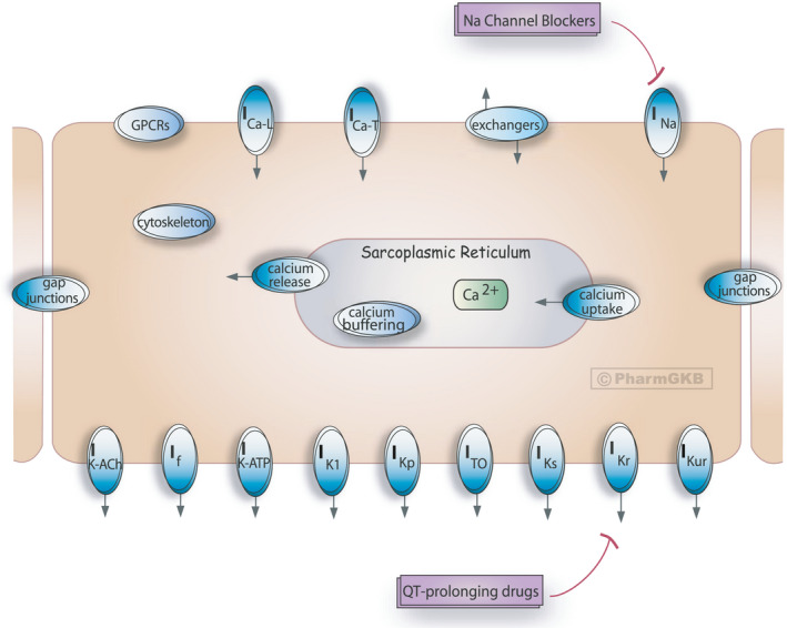 Figure 6