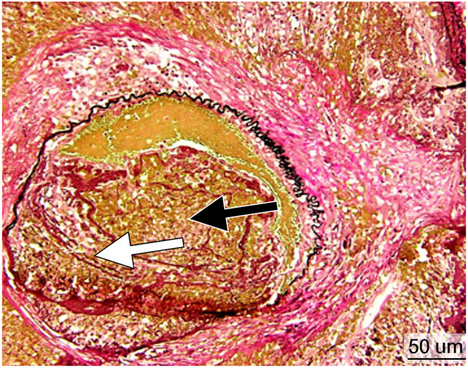 Figure 6.