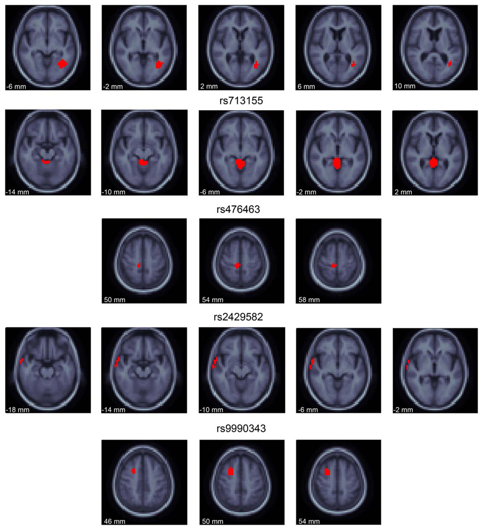 Fig. 6