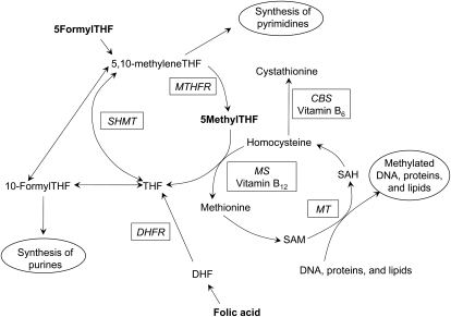 FIGURE 1.