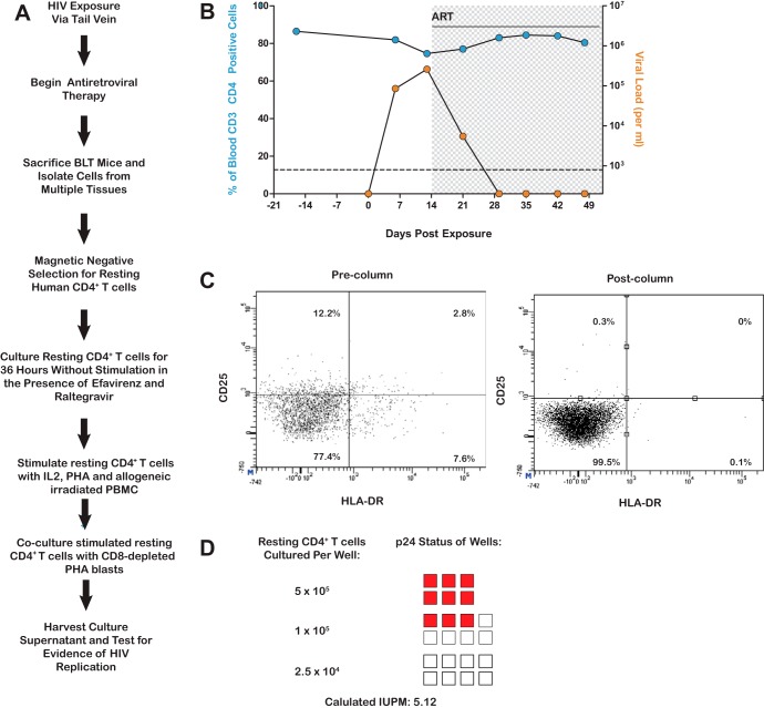 FIG 6