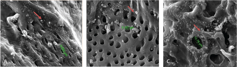 Fig. 8