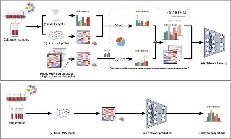 Figure 1