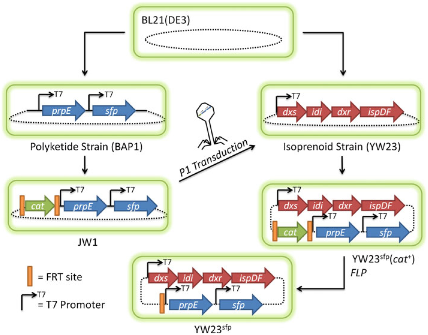 Fig. 2