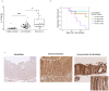 Fig 8: