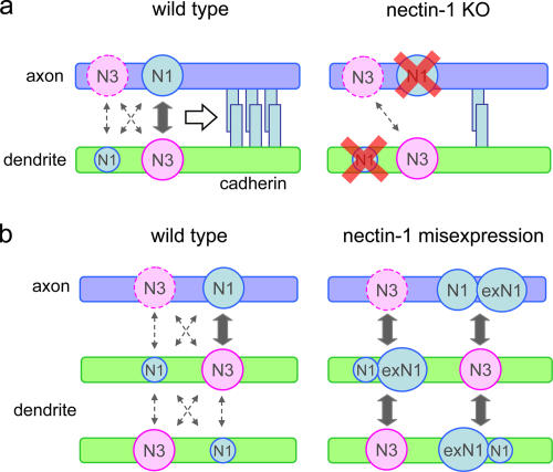 Figure 7.