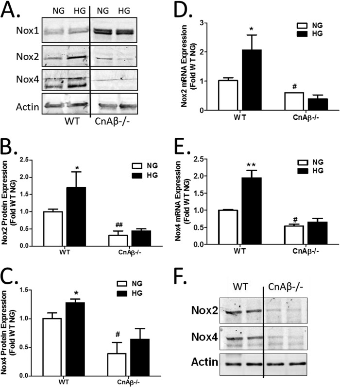 FIGURE 4.