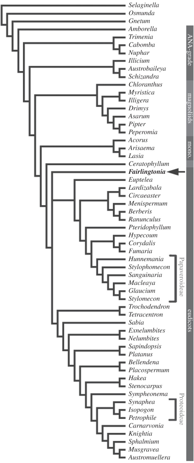 Figure 6.