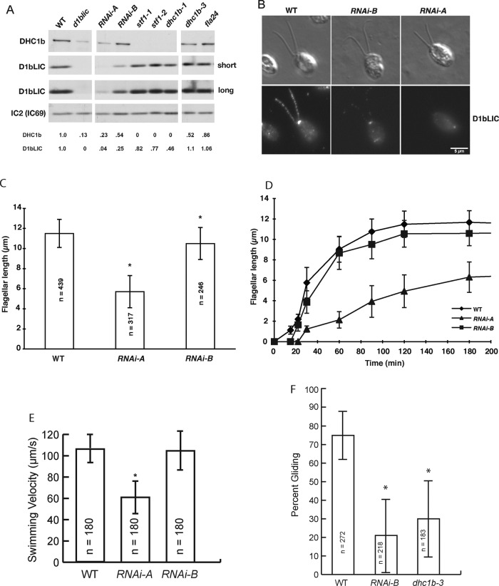 FIGURE 1: