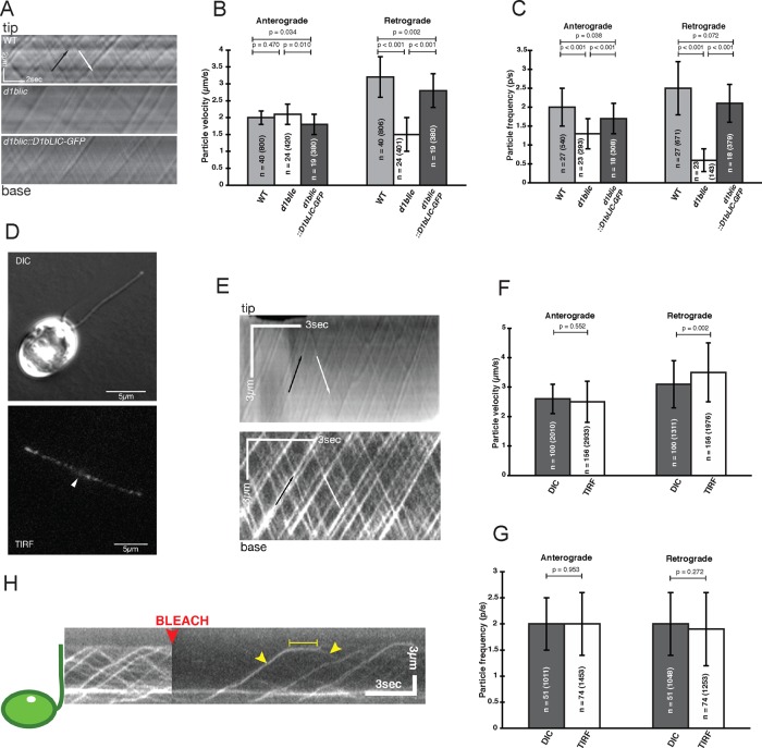 FIGURE 4: