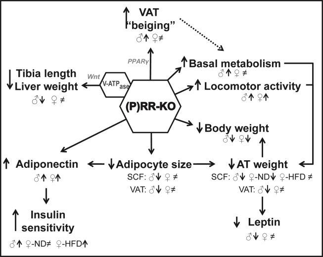 Figure 6