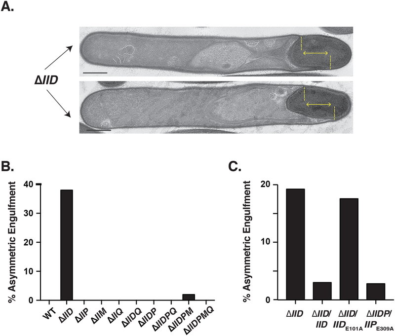 Fig. 5.