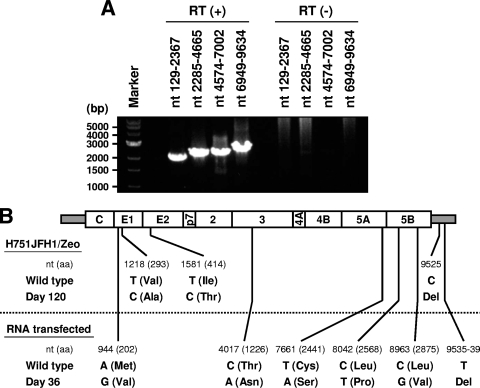 FIG. 6.