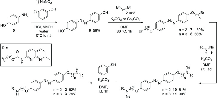 Scheme 1