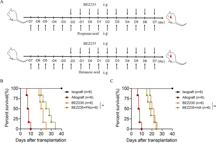 FIG 6