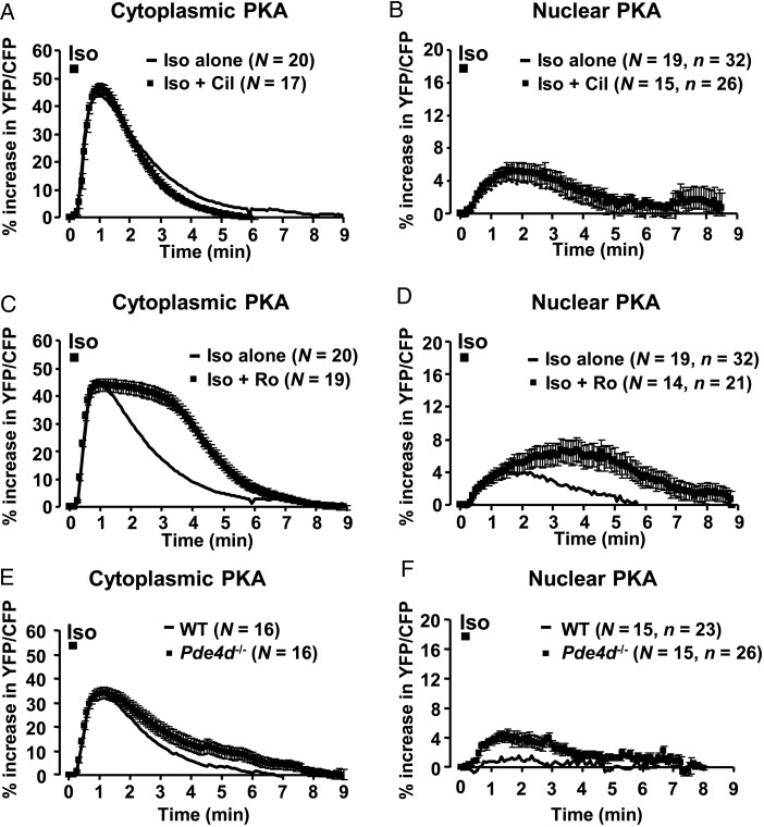 Figure 5