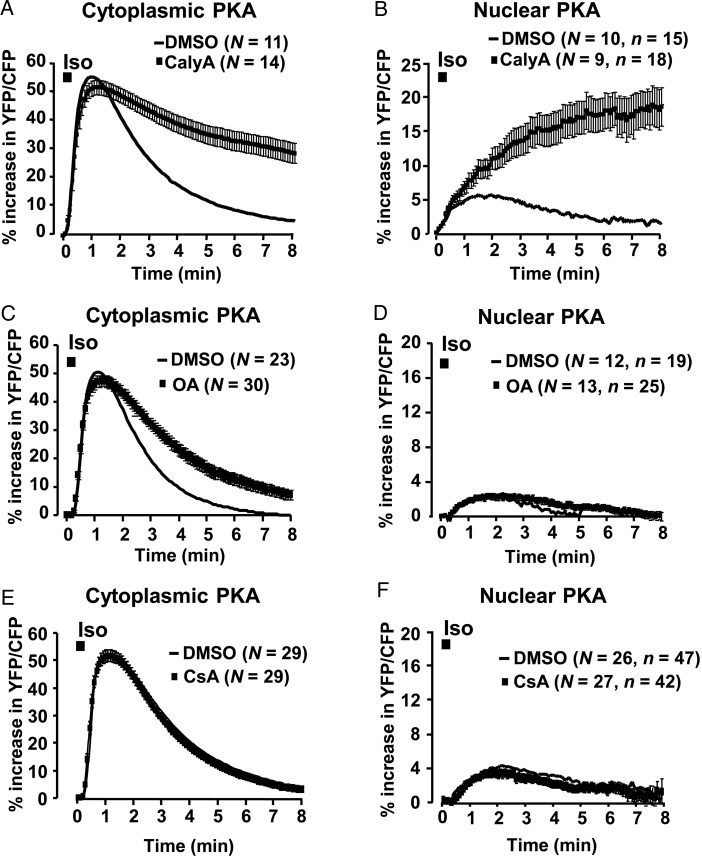 Figure 6