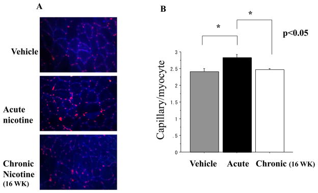 Figure1