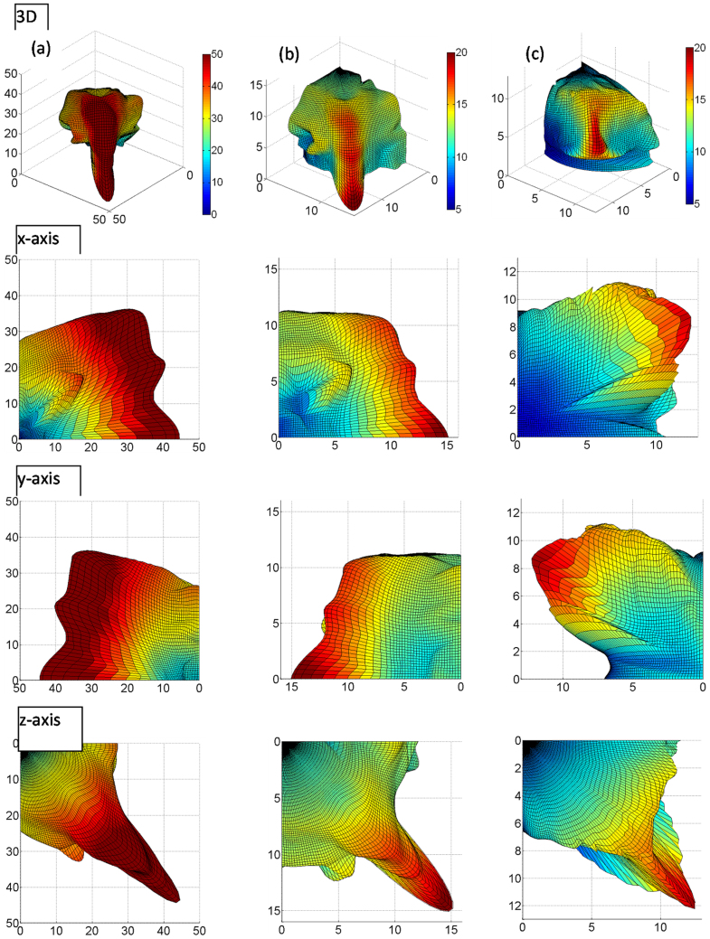 Figure 4