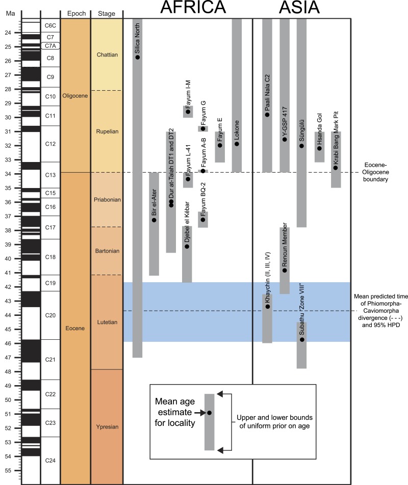 Figure 12