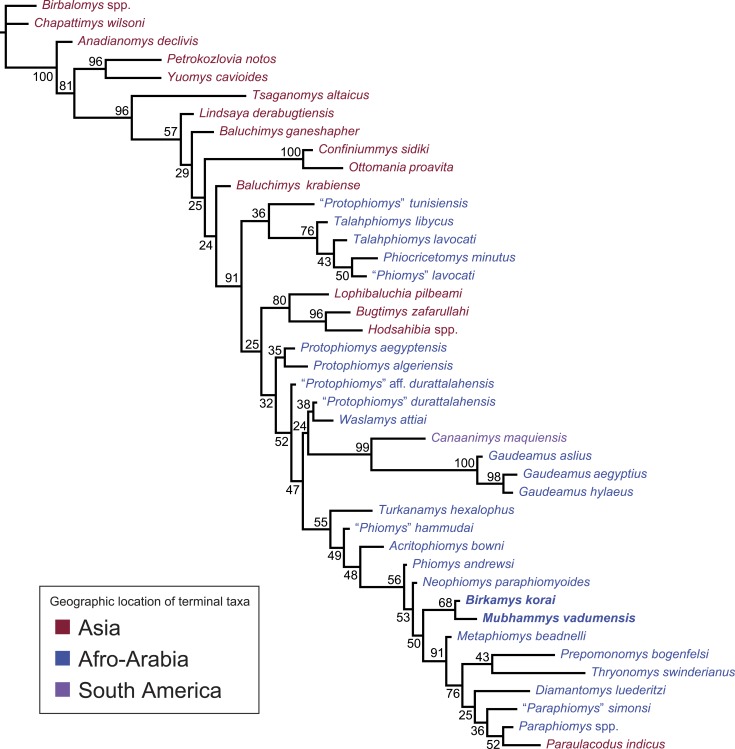 Figure 11