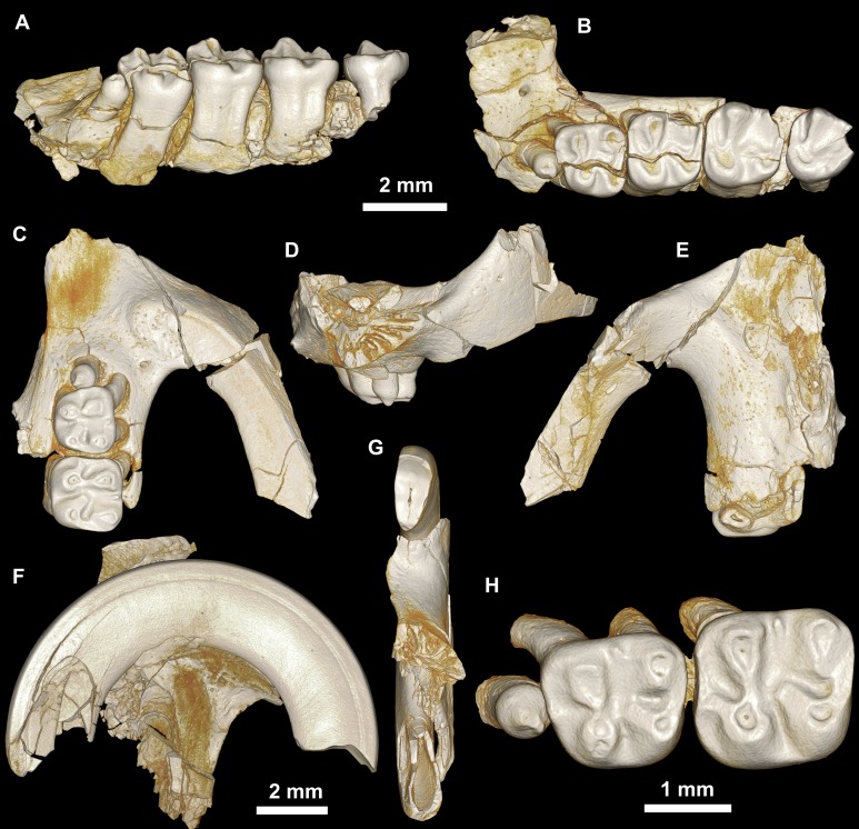 Figure 7