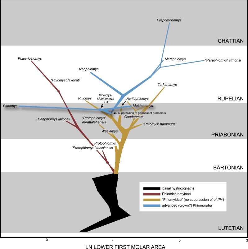 Figure 14