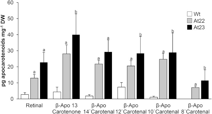 Figure 5.