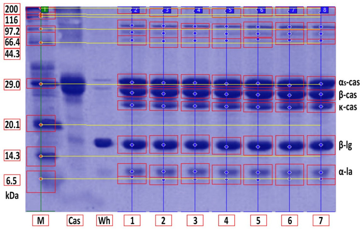 Figure 11