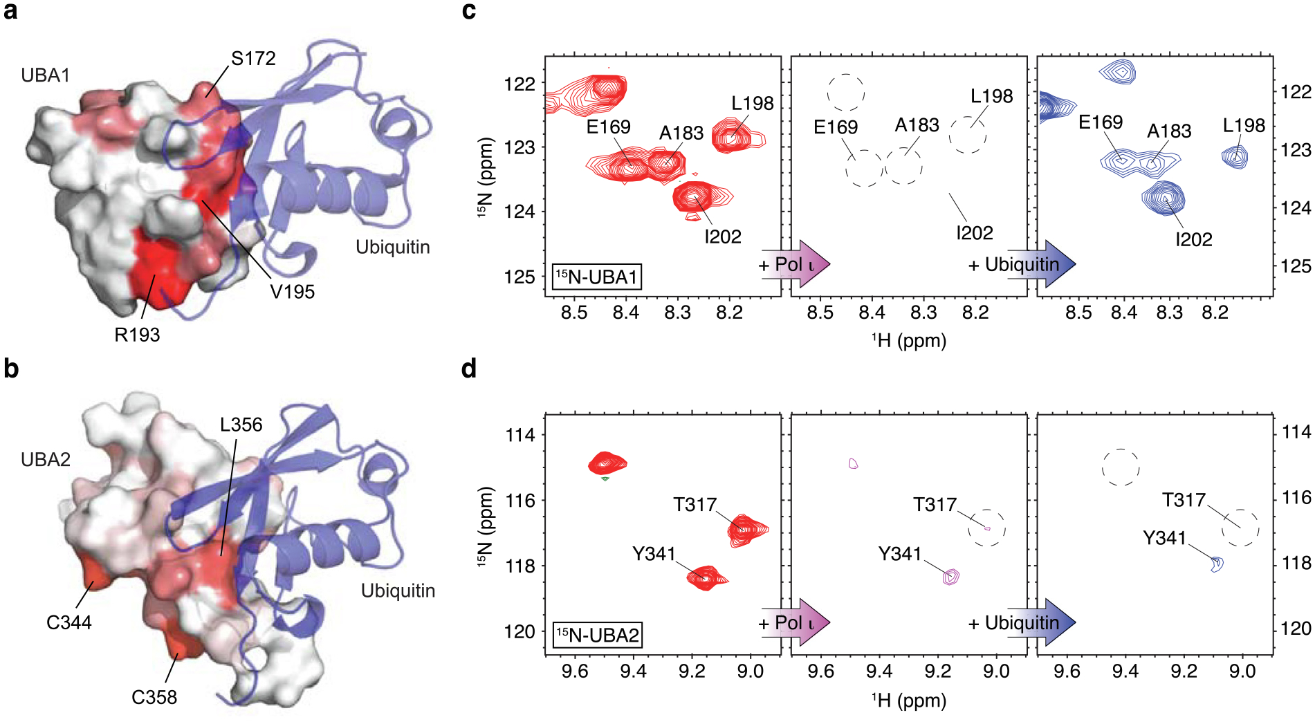 Figure 5.