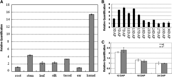 Figure 10 