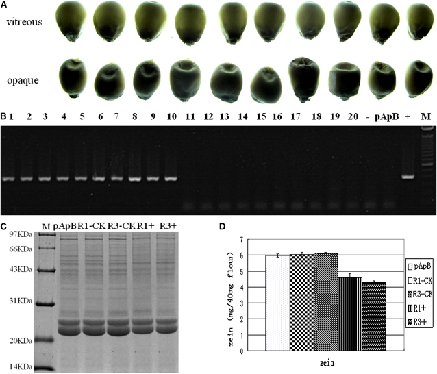 Figure 7 