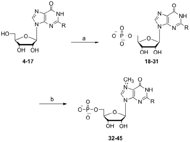 Scheme 3