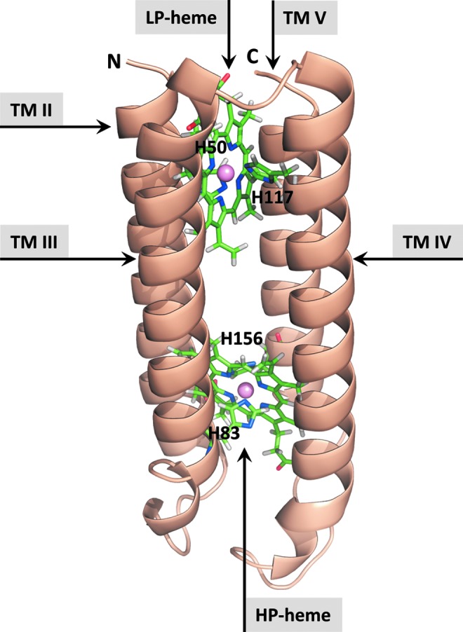 FIG. 4.