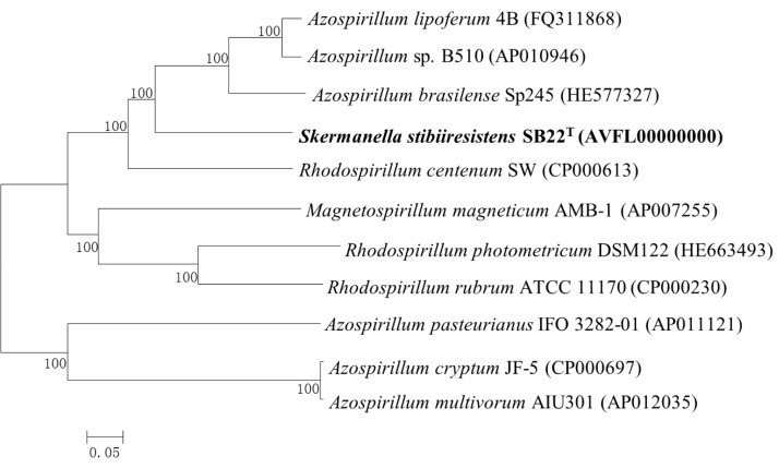 Figure 2