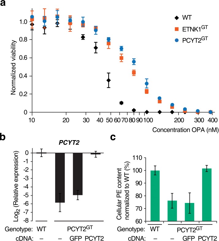 Figure 1—figure supplement 4.