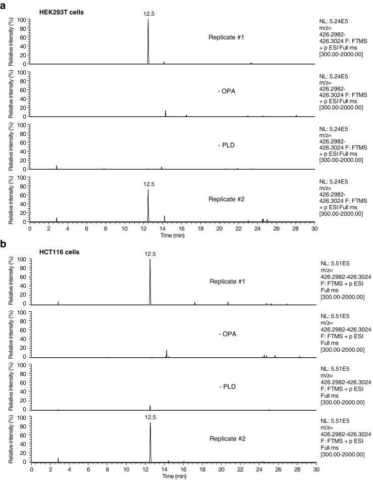 Figure 4—figure supplement 1.