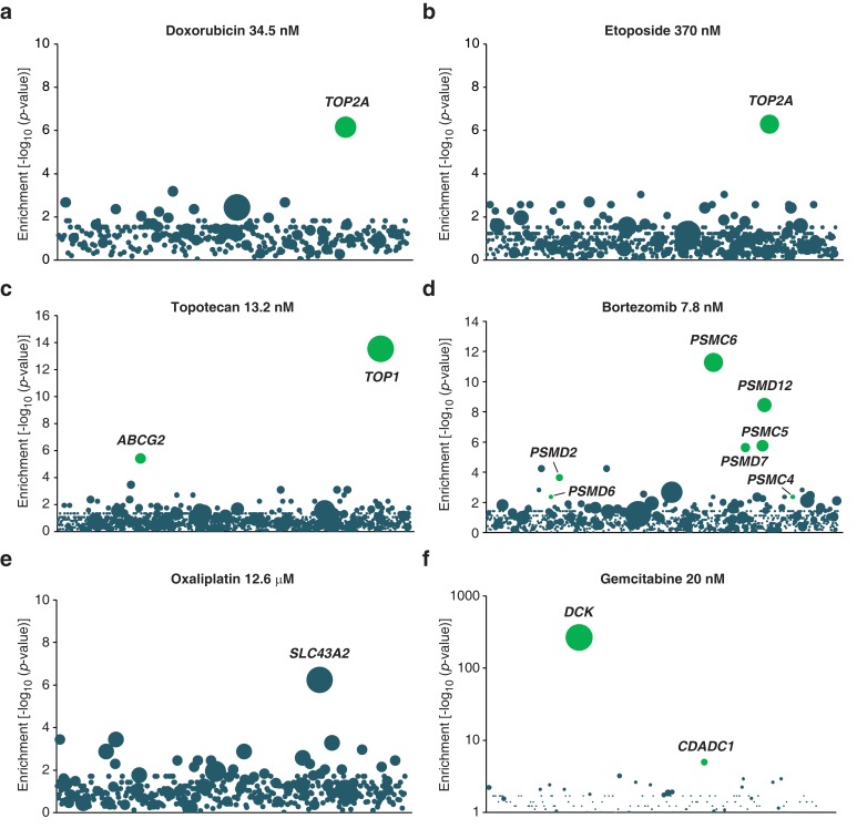 Figure 1—figure supplement 2.