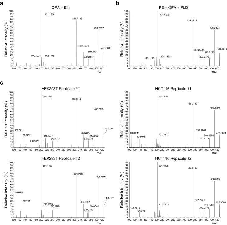 Figure 4—figure supplement 2.