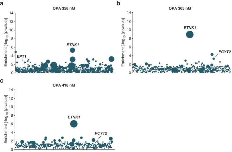 Figure 1—figure supplement 3.