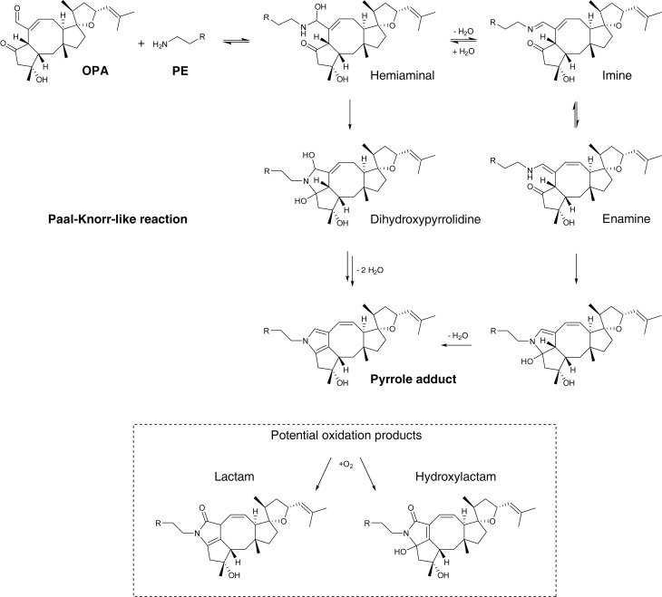 Figure 3—figure supplement 2.