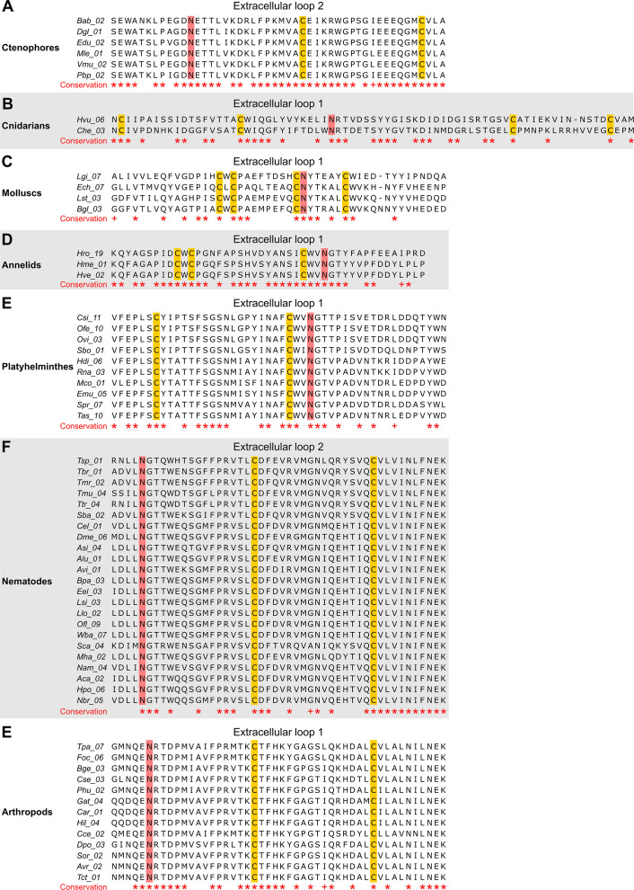 Figure 1—figure supplement 1.