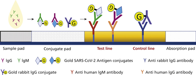 Figure 4