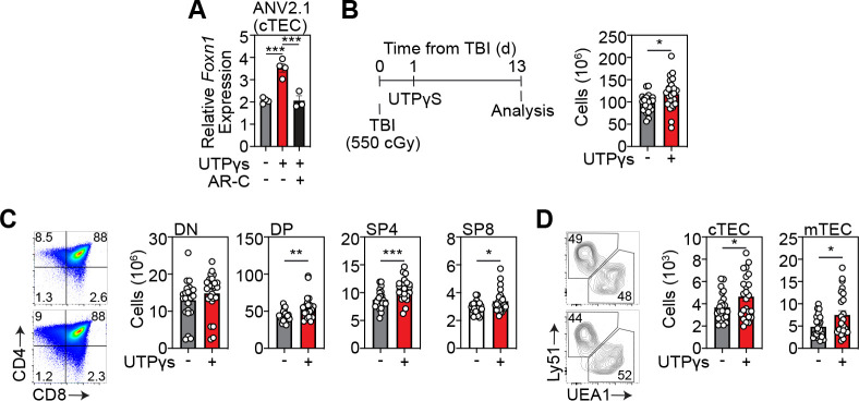 Figure 4: