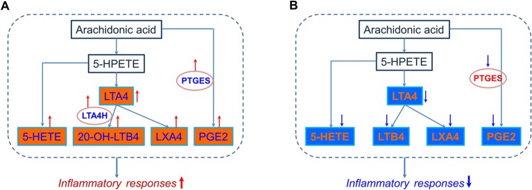 Figure 8