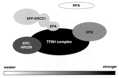 FIG. 9