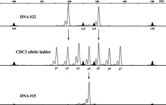 FIG. 1.